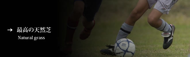 最高の天然芝